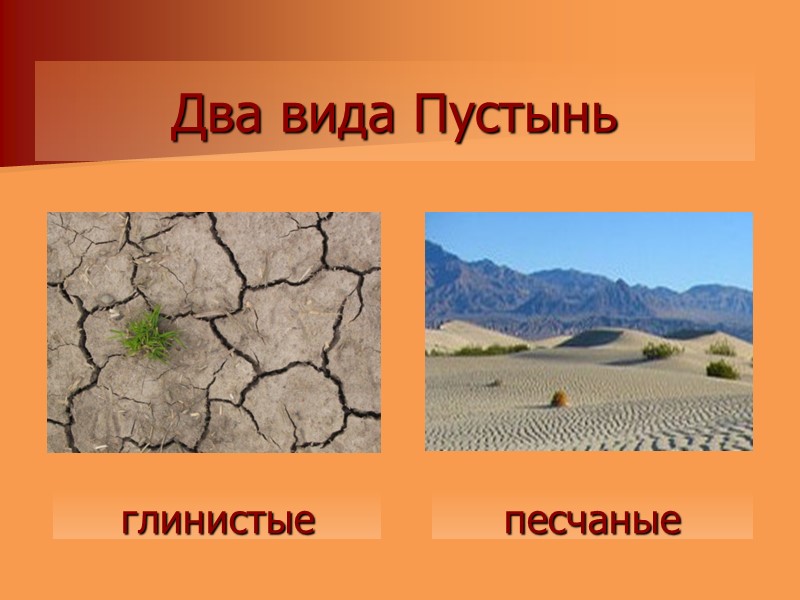 глинистые Два вида Пустынь песчаные